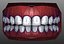 Human Teeth