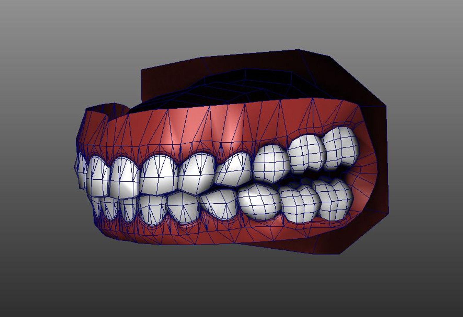 humans mouth max https://p.turbosquid.com/ts-thumb/T7/zuJzHy/aaENfJCR/4/jpg/1330200154/1920x1080/fit_q87/bd7103b2f14e7249548b71fffb34a16aae3e3864/4.jpg