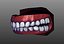 Human Teeth