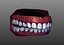 Human Teeth