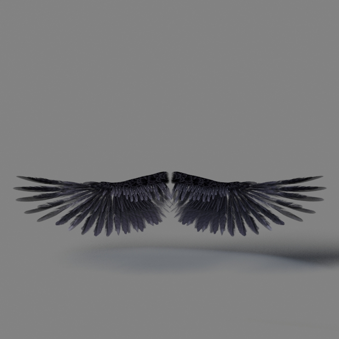 3d Model Realistic Wings Rigged