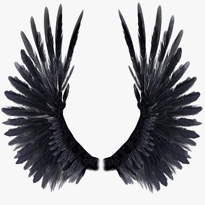 Bird Wings Rigged