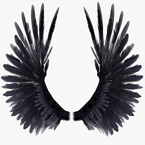 Bird Wings Rigged