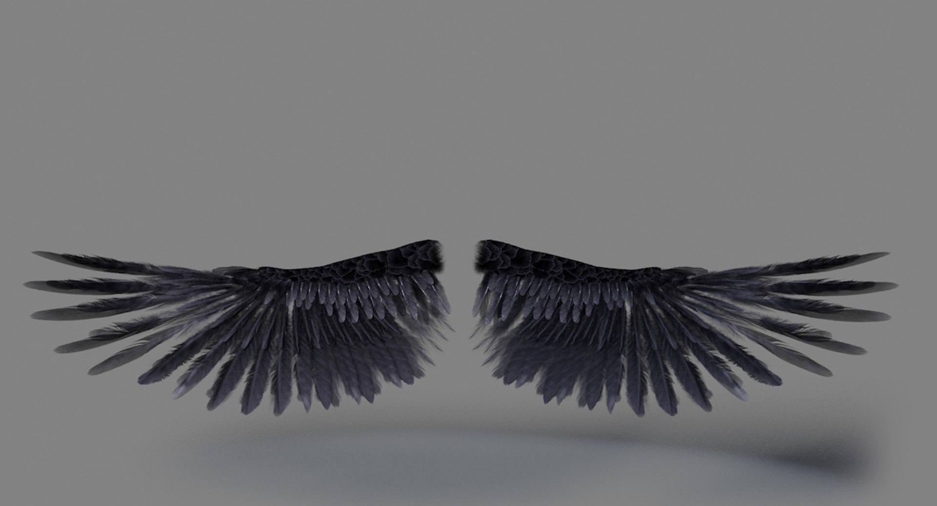 3d Model Realistic Wings Rigged