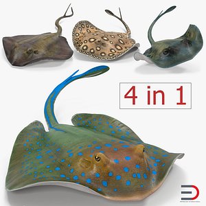stingray rigged animate 3d max