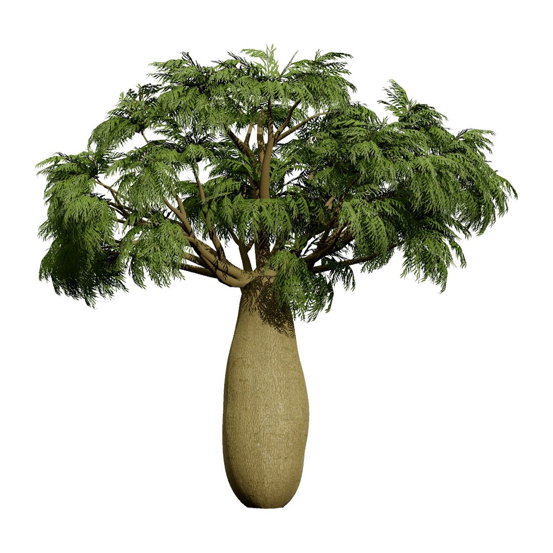 3D Australian Flora 3D Pack https://p.turbosquid.com/ts-thumb/T8/42MVaE/1Y/australianbrachychitonrupestris5/jpg/1744109614/1920x1080/fit_q87/701550407f83f095cee138a75f2de9985a9d0d6e/australianbrachychitonrupestris5.jpg