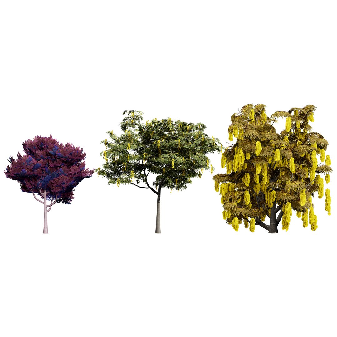 3D Australian Flora 3D Pack https://p.turbosquid.com/ts-thumb/T8/42MVaE/1u/realisticcootamundrawattletree3/jpg/1744109711/1920x1080/fit_q87/b72b4f660a1314ffeb6be54c9c616690df277e0e/realisticcootamundrawattletree3.jpg