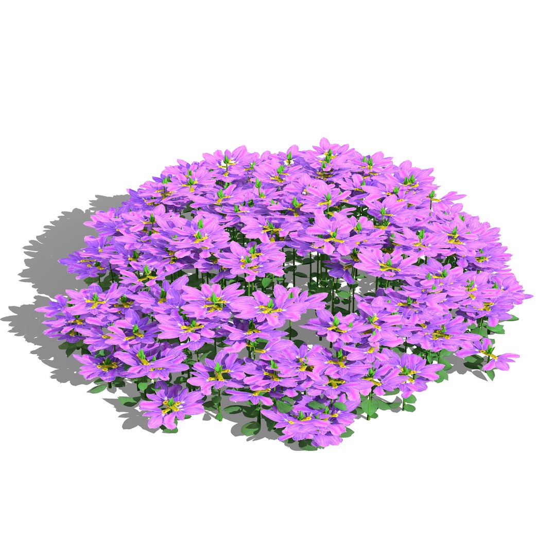 3D Australian Flora 3D Pack https://p.turbosquid.com/ts-thumb/T8/42MVaE/1w/autralianpurplefanfareflower4/jpg/1744109709/1920x1080/fit_q87/af179940c96adfa6952fceb8affe542e260f317a/autralianpurplefanfareflower4.jpg
