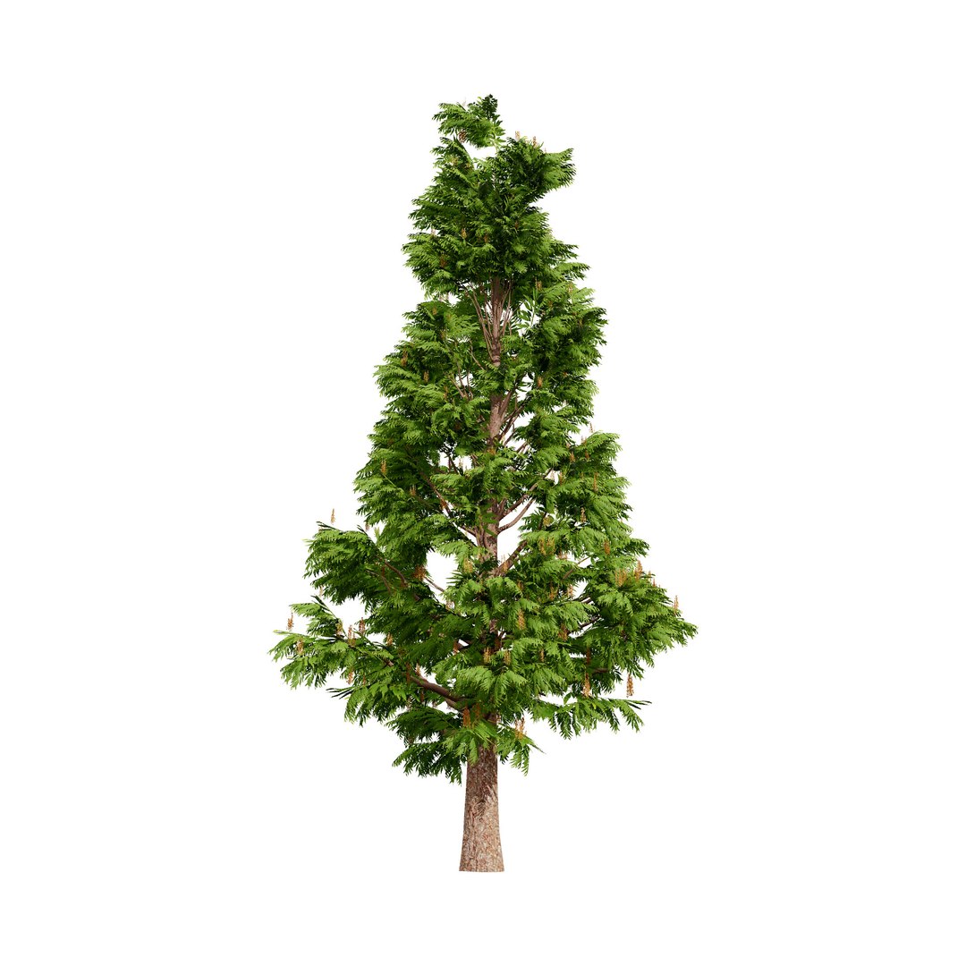 3D Australian Flora 3D Pack https://p.turbosquid.com/ts-thumb/T8/42MVaE/25/australiangrevillearobusta4/jpg/1744109687/1920x1080/fit_q87/dab1ed492af3ee045803594b3772a238f92ca5dc/australiangrevillearobusta4.jpg