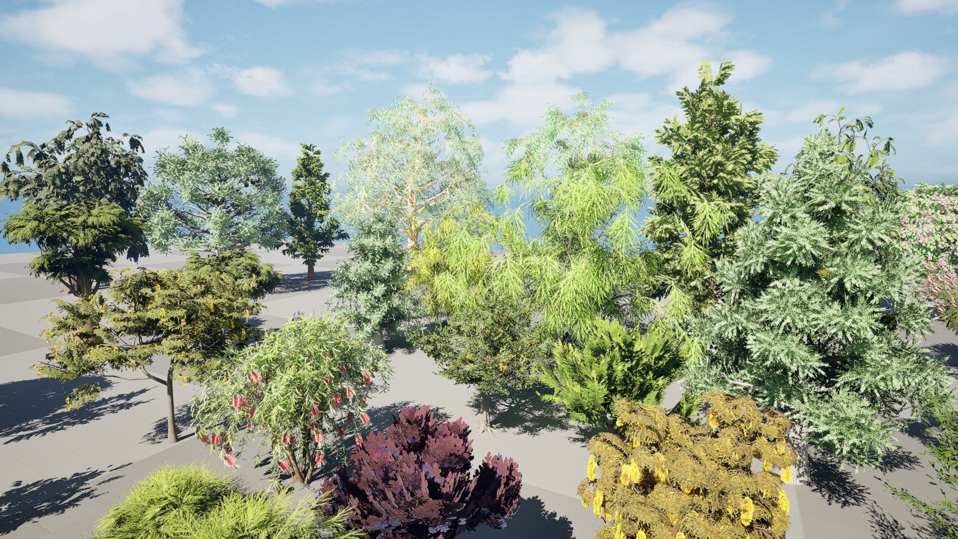 3D Australian Flora 3D Pack https://p.turbosquid.com/ts-thumb/T8/42MVaE/2I/01.0231/jpeg/1744109412/1920x1080/fit_q87/8ec057e3b0e728899eab485747c9c3a7f73f6282/01.0231.jpg