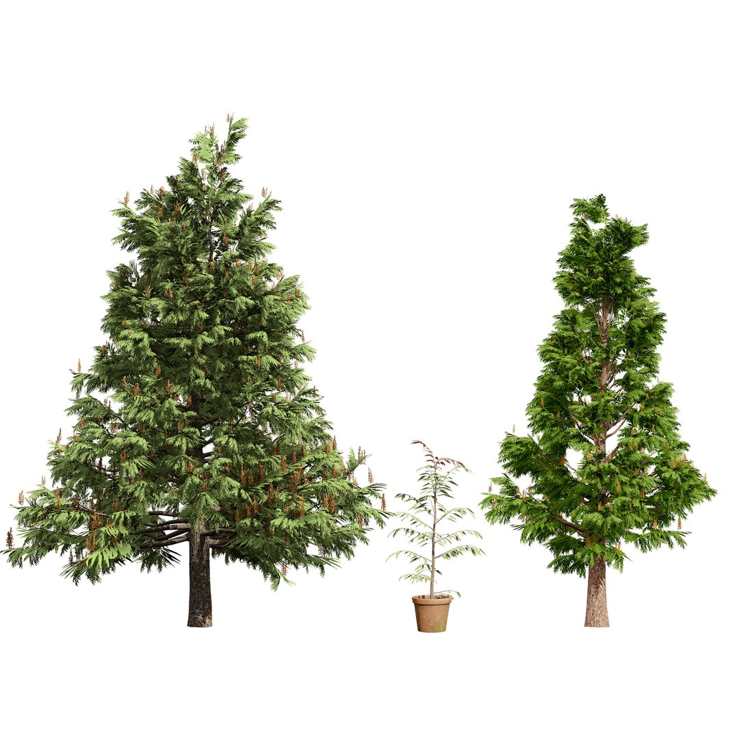 3D Australian Flora 3D Pack https://p.turbosquid.com/ts-thumb/T8/42MVaE/3I/australiangrevillearobusta3/jpg/1744109687/1920x1080/fit_q87/40aaea75ddaff1a7c02a5279a3d7babf8172ec01/australiangrevillearobusta3.jpg