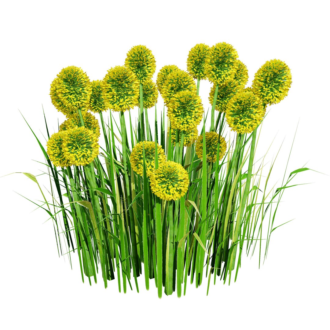 3D Australian Flora 3D Pack https://p.turbosquid.com/ts-thumb/T8/42MVaE/4P/australiancraspediaglobosagolfbeautyflowersaustraliancraspediaglobosagolfbeautyflowers3/jpg/1744109624/1920x1080/fit_q87/a35f12ccd8eb9d2e71dc024d1a784186c1462f13/australiancraspediaglobosagolfbeautyflowersaustraliancraspediaglobosagolfbeautyflowers3.jpg