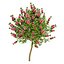 3D Australian Flora 3D Pack