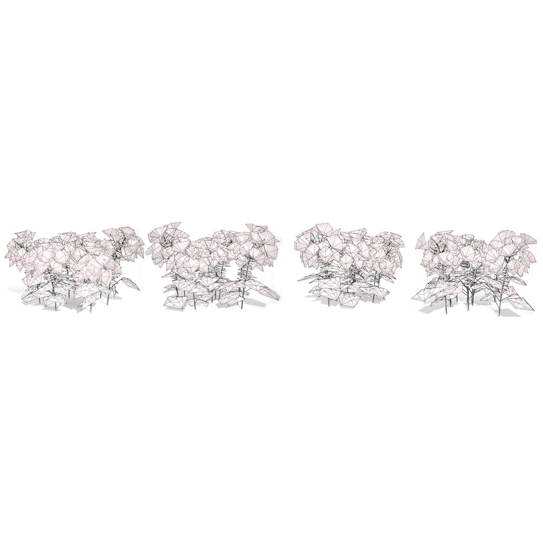 3D Australian Flora 3D Pack https://p.turbosquid.com/ts-thumb/T8/42MVaE/8M/australianspiderflowerbush23/jpg/1744109754/1920x1080/fit_q87/58ffc55a122cdda12ce745f5c32adcf5472dfb8e/australianspiderflowerbush23.jpg