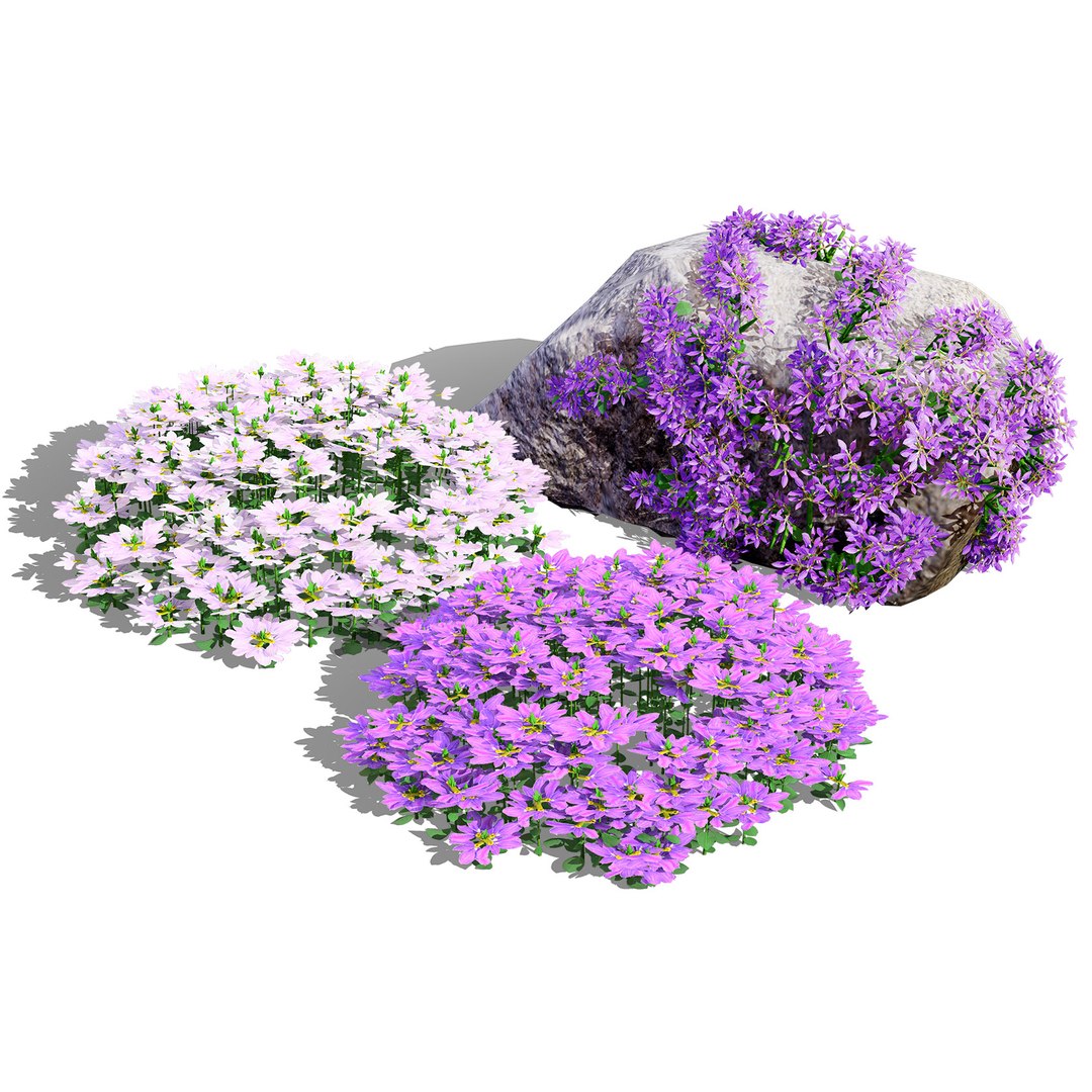 3D Australian Flora 3D Pack https://p.turbosquid.com/ts-thumb/T8/42MVaE/AE/autralianpurplefanfareflower1/jpg/1744109709/1920x1080/fit_q87/241afa0bdc4fb1681401640f1b114301aecb79a2/autralianpurplefanfareflower1.jpg