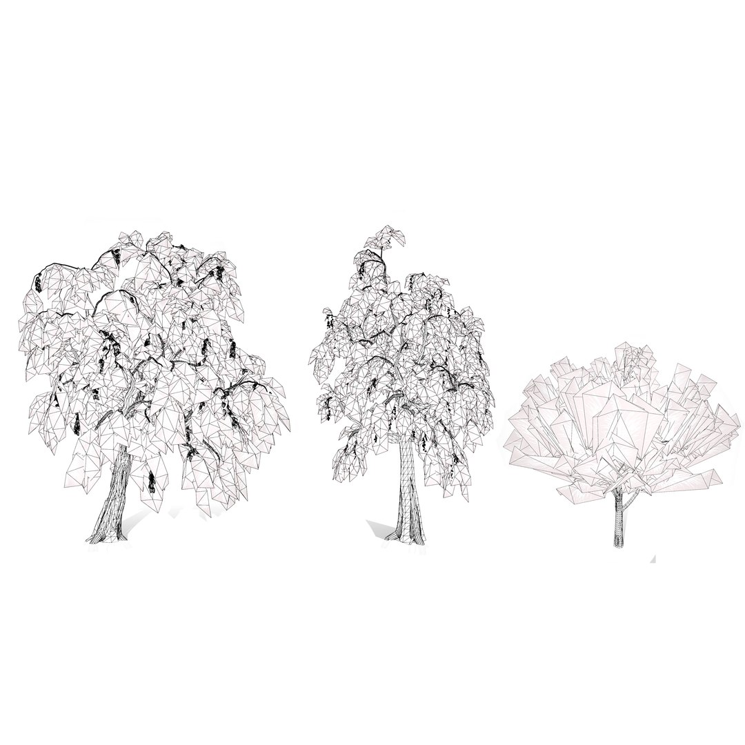 3D Australian Flora 3D Pack https://p.turbosquid.com/ts-thumb/T8/42MVaE/B5/australiancasuarinatree3dmodel9/jpg/1744109746/1920x1080/fit_q87/b0c3794bb5602b2faea251b6a4a5b4dc891b7837/australiancasuarinatree3dmodel9.jpg