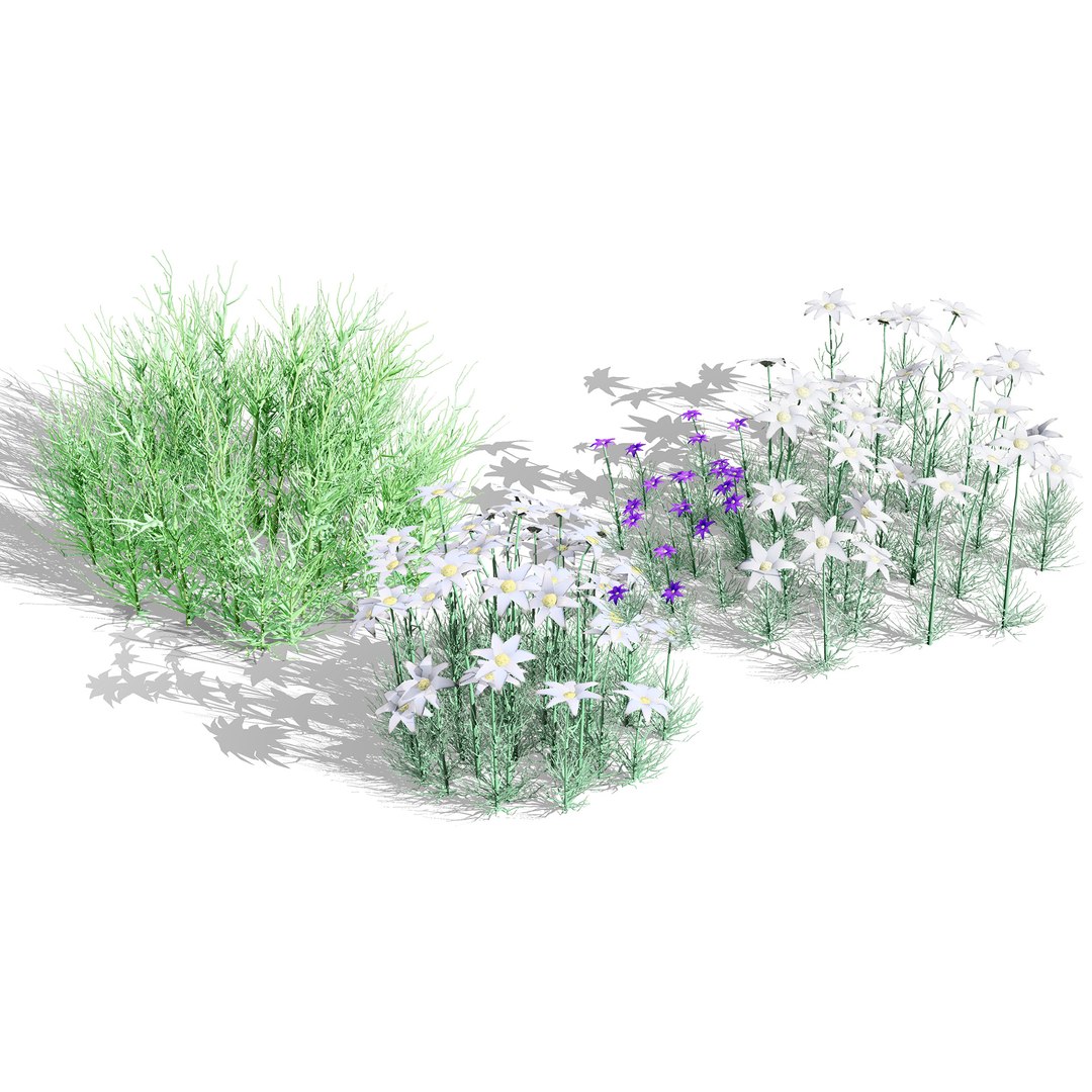 3D Australian Flora 3D Pack https://p.turbosquid.com/ts-thumb/T8/42MVaE/BU/australianflannelflowerherbaceousshrubs3/jpg/1744109683/1920x1080/fit_q87/94b4e01ff9e5566760cfd12fb17f84969bf9d586/australianflannelflowerherbaceousshrubs3.jpg