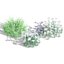 3D Australian Flora 3D Pack