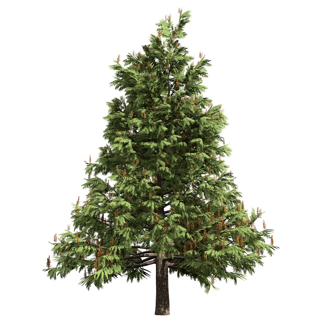3D Australian Flora 3D Pack https://p.turbosquid.com/ts-thumb/T8/42MVaE/Cn/australiangrevillearobusta7/jpg/1744109688/1920x1080/fit_q87/af775bc21447d5ba9ec592403f39d625410d3185/australiangrevillearobusta7.jpg