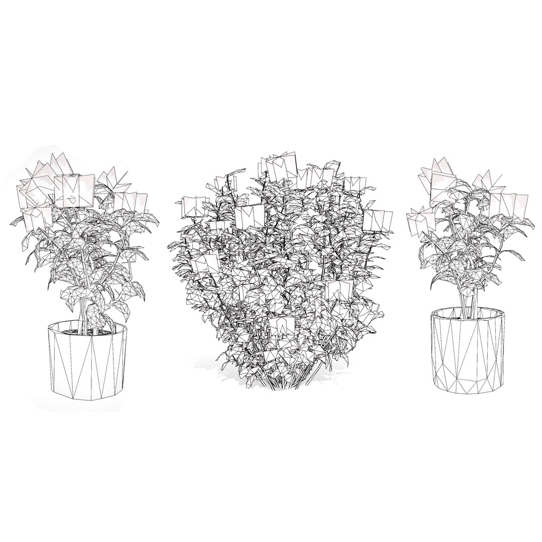 3D Australian Flora 3D Pack https://p.turbosquid.com/ts-thumb/T8/42MVaE/Id/australianwaratahfloweringplant16/jpg/1744109753/1920x1080/fit_q87/9edbd94e2936ab3d3f2d1ab78f1cf93f37c53f68/australianwaratahfloweringplant16.jpg