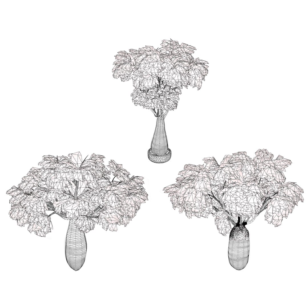 3D Australian Flora 3D Pack https://p.turbosquid.com/ts-thumb/T8/42MVaE/KX/australianbrachychitonrupestris18/jpg/1744109746/1920x1080/fit_q87/8f0ce2baabe30e39891ad074c0b00285add9f709/australianbrachychitonrupestris18.jpg