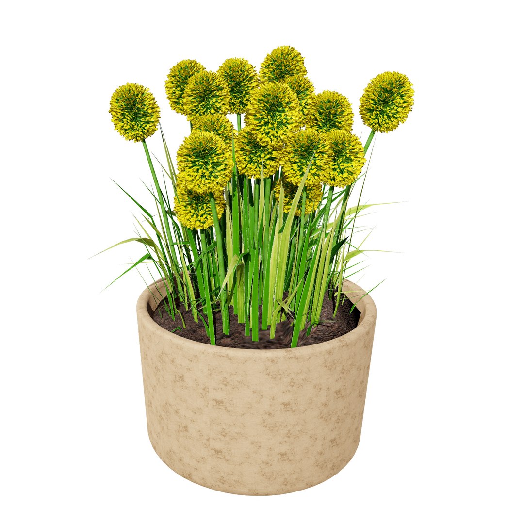 3D Australian Flora 3D Pack https://p.turbosquid.com/ts-thumb/T8/42MVaE/L5/australiancraspediaglobosagolfbeautyflowersaustraliancraspediaglobosagolfbeautyflowers2/jpg/1744109623/1920x1080/fit_q87/d7f586379acb19cb6f87ecfe38062bf0973c204e/australiancraspediaglobosagolfbeautyflowersaustraliancraspediaglobosagolfbeautyflowers2.jpg