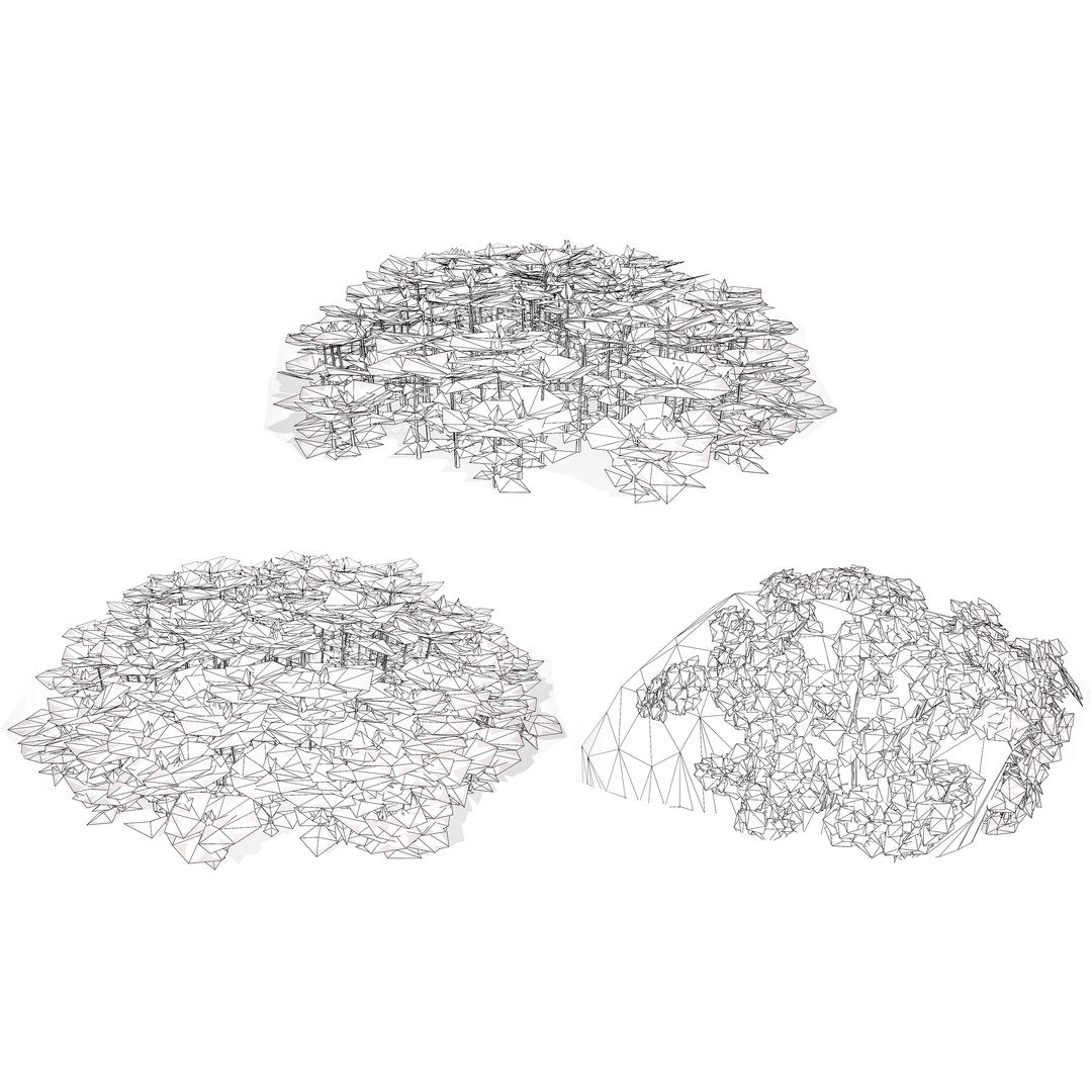 3D Australian Flora 3D Pack https://p.turbosquid.com/ts-thumb/T8/42MVaE/LA/autralianpurplefanfareflower15/jpg/1744109754/1920x1080/fit_q87/56ec2b92225fc80d97169c67d867ff15b79d2725/autralianpurplefanfareflower15.jpg