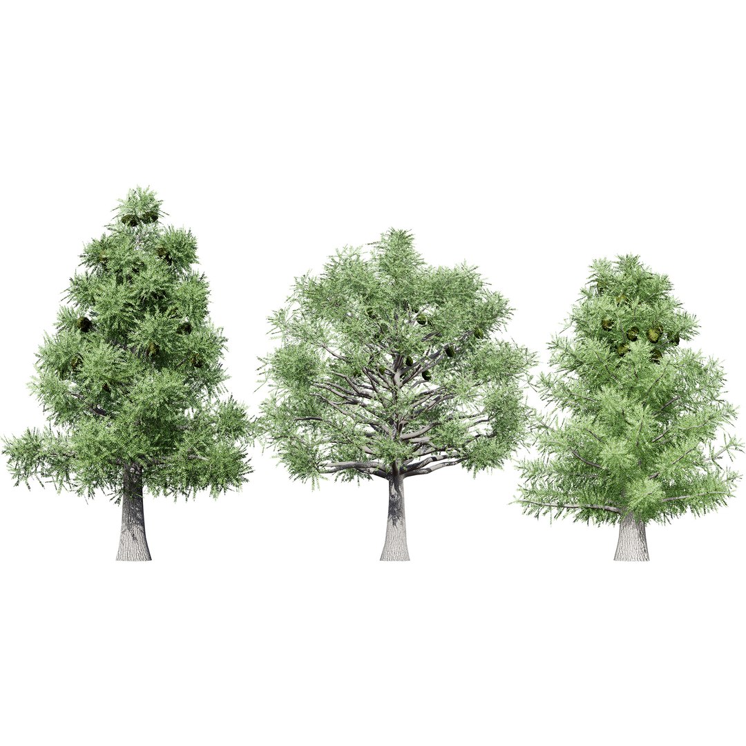 3D Australian Flora 3D Pack https://p.turbosquid.com/ts-thumb/T8/42MVaE/LF/australianbunyapinetrees3/jpg/1744109616/1920x1080/fit_q87/6d4b2302e52a6ab529a7ad7bb5f109124bd3941d/australianbunyapinetrees3.jpg