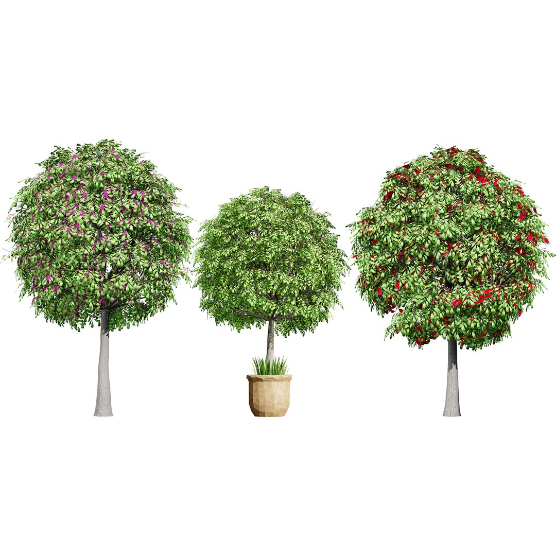 3D Australian Flora 3D Pack https://p.turbosquid.com/ts-thumb/T8/42MVaE/Md/australianlillypillyfruitplant2/jpg/1744109690/1920x1080/fit_q87/973cb807a231ddb43baa64a6d4be4864a00ec44b/australianlillypillyfruitplant2.jpg