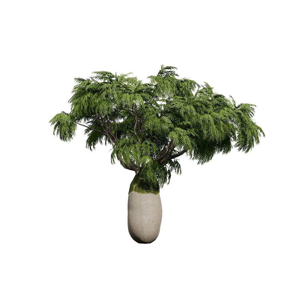 3D Australian Flora 3D Pack https://p.turbosquid.com/ts-thumb/T8/42MVaE/Nf/australianbrachychitonrupestris10/jpg/1744109615/1920x1080/fit_q87/0f2d3e429b87a7310310d5d31518e921f0d08ce3/australianbrachychitonrupestris10.jpg