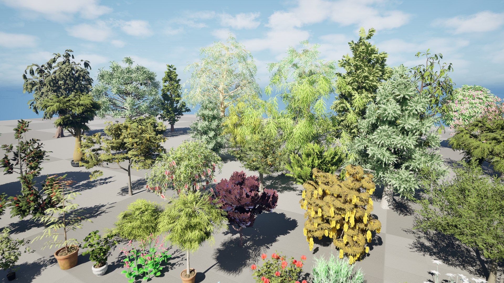 3D Australian Flora 3D Pack https://p.turbosquid.com/ts-thumb/T8/42MVaE/Oo/01.0168/jpeg/1744109412/1920x1080/fit_q87/2d693a92bf927651409341d2b8ce5c0f0773baab/01.0168.jpg