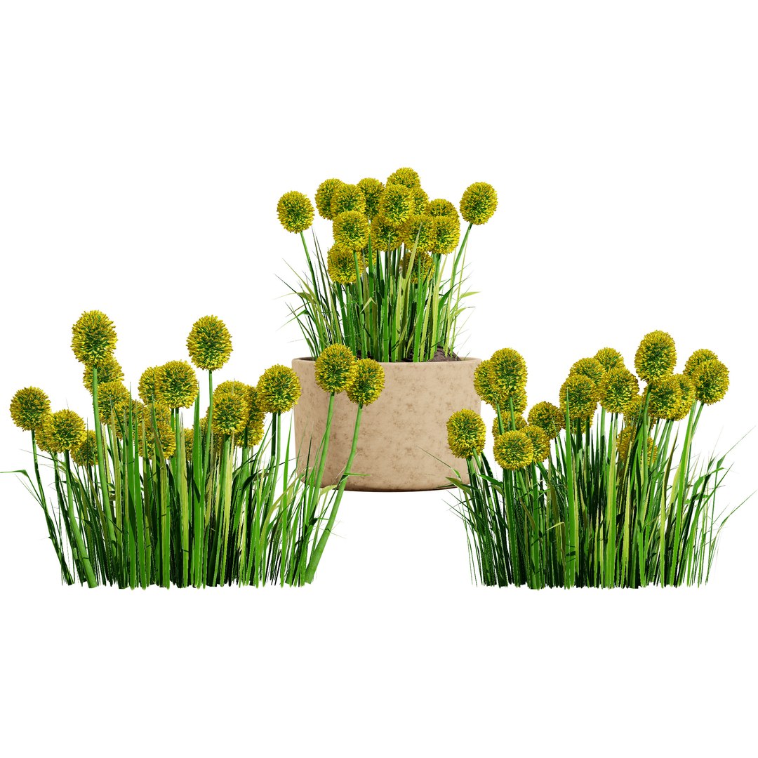 3D Australian Flora 3D Pack https://p.turbosquid.com/ts-thumb/T8/42MVaE/QE/australiancraspediaglobosagolfbeautyflowersaustraliancraspediaglobosagolfbeautyflowers1/jpg/1744109622/1920x1080/fit_q87/caf7d45307ab28dcc0fb978f0f64d64674c679b5/australiancraspediaglobosagolfbeautyflowersaustraliancraspediaglobosagolfbeautyflowers1.jpg