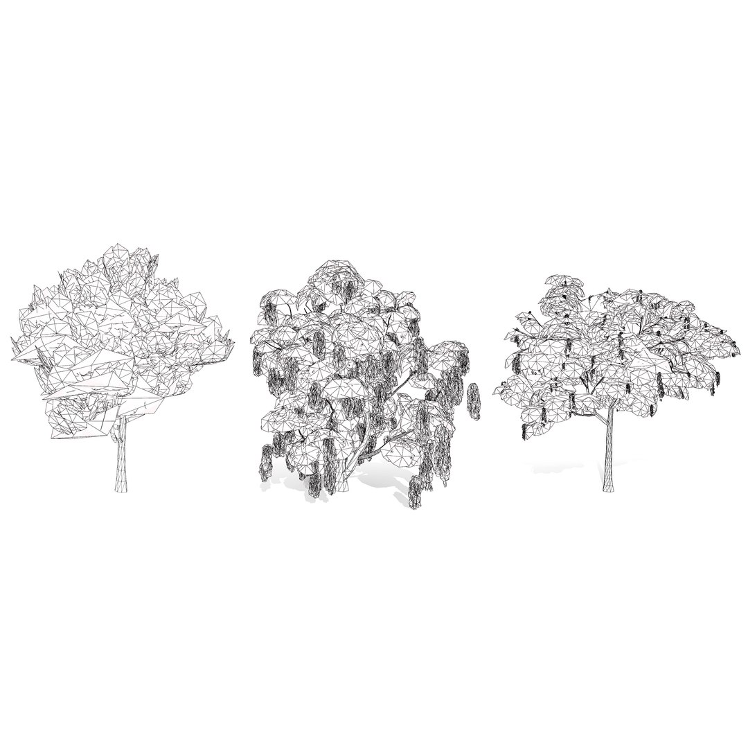 3D Australian Flora 3D Pack https://p.turbosquid.com/ts-thumb/T8/42MVaE/SI/realisticcootamundrawattletree17/jpg/1744109755/1920x1080/fit_q87/39c4ec2f703473fa4d52c164d2bed1298b793545/realisticcootamundrawattletree17.jpg