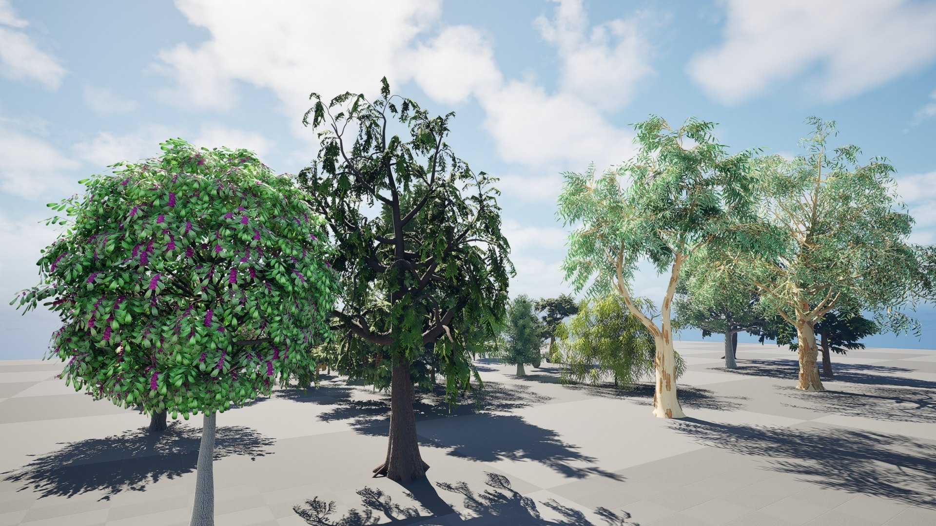 3D Australian Flora 3D Pack https://p.turbosquid.com/ts-thumb/T8/42MVaE/VA/04.0313/jpeg/1744109417/1920x1080/fit_q87/cbe092638fcf4605b5e1abff956301440dfec033/04.0313.jpg