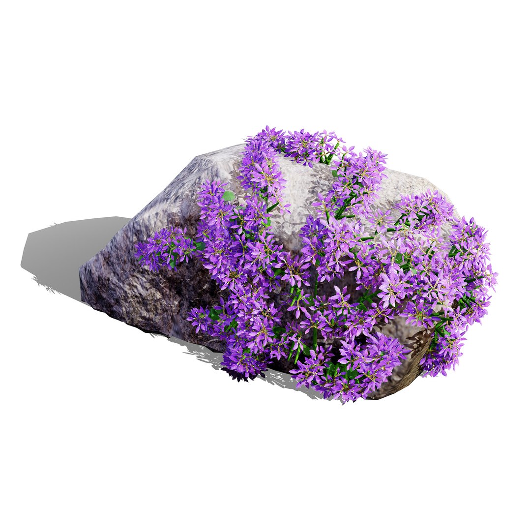 3D Australian Flora 3D Pack https://p.turbosquid.com/ts-thumb/T8/42MVaE/W6/autralianpurplefanfareflower11/jpg/1744109711/1920x1080/fit_q87/c7e7ec60e1c806e2ca67efba8b2358b6cb3aacf2/autralianpurplefanfareflower11.jpg