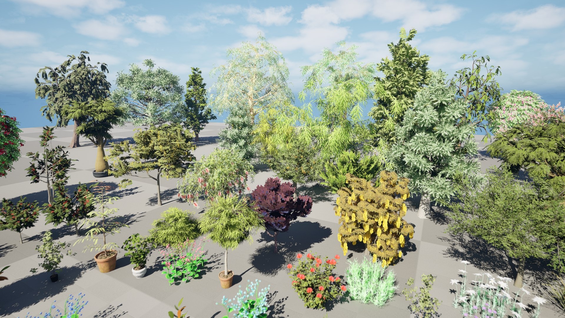 3D Australian Flora 3D Pack https://p.turbosquid.com/ts-thumb/T8/42MVaE/X0/01.0151/jpeg/1744109410/1920x1080/fit_q87/8e102256060e59b8216343068adce1332aeed8db/01.0151.jpg