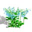 3D Australian Flora 3D Pack
