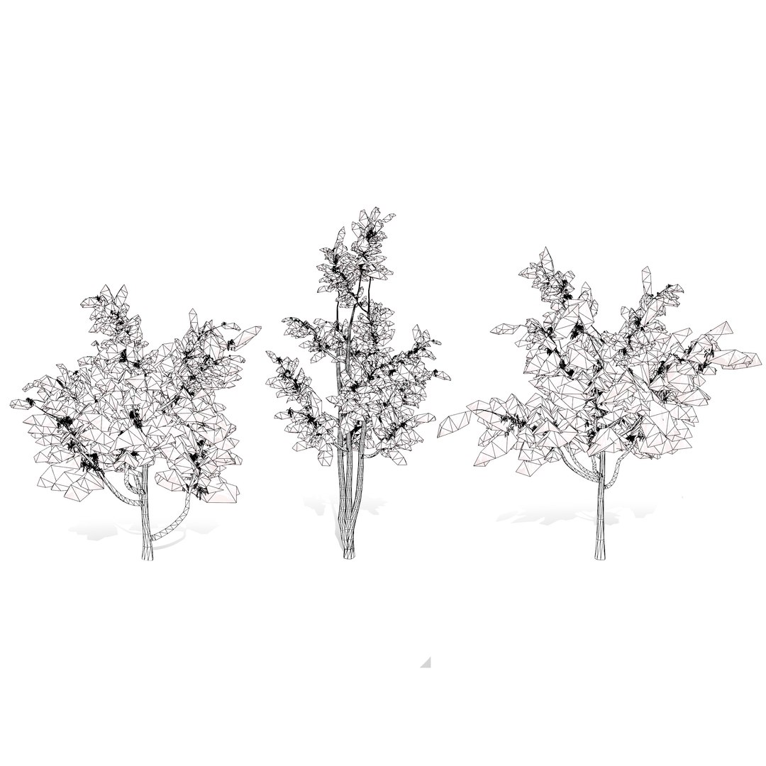 3D Australian Flora 3D Pack https://p.turbosquid.com/ts-thumb/T8/42MVaE/Xh/australianalloxylonflammeumtrees18/jpg/1744109740/1920x1080/fit_q87/c7c935884b5226da0f59f03e407f1b84da72cf6f/australianalloxylonflammeumtrees18.jpg