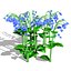 3D Australian Flora 3D Pack