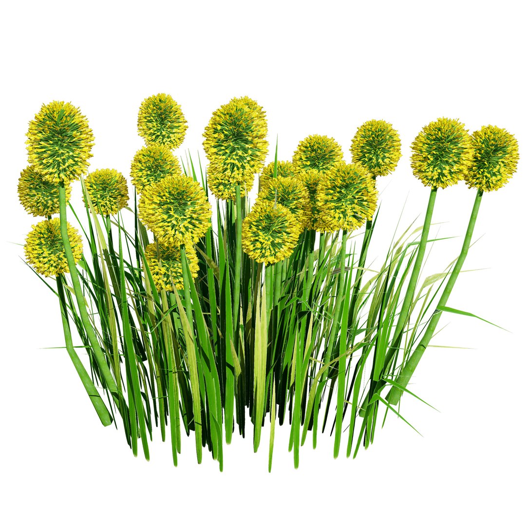 3D Australian Flora 3D Pack https://p.turbosquid.com/ts-thumb/T8/42MVaE/Yu/australiancraspediaglobosagolfbeautyflowersaustraliancraspediaglobosagolfbeautyflowers4/jpg/1744109625/1920x1080/fit_q87/697b8407460ff2a85ee872d8fd3db5870e993422/australiancraspediaglobosagolfbeautyflowersaustraliancraspediaglobosagolfbeautyflowers4.jpg