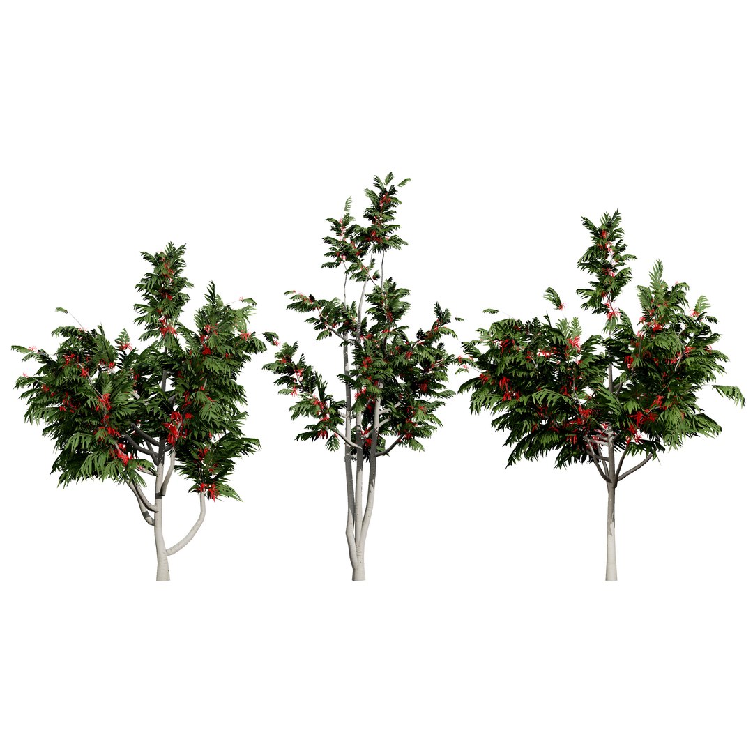 3D Australian Flora 3D Pack https://p.turbosquid.com/ts-thumb/T8/42MVaE/Yz/australianalloxylonflammeumtrees2/jpg/1744109609/1920x1080/fit_q87/edb5df0c336ebc3e15b6c6b5528105abd271f65d/australianalloxylonflammeumtrees2.jpg