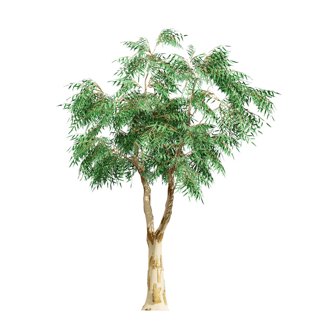 3D Australian Flora 3D Pack https://p.turbosquid.com/ts-thumb/T8/42MVaE/b8/australiancorymbiacitrodoratree5/jpg/1744109621/1920x1080/fit_q87/24f9a0901d96b4d390c0db0b1d36736317546da5/australiancorymbiacitrodoratree5.jpg
