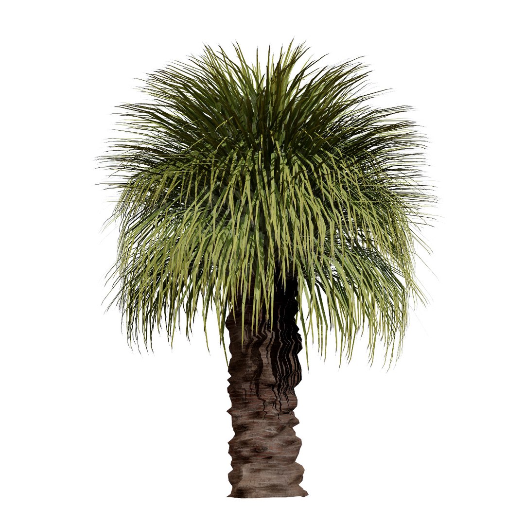 3D Australian Flora 3D Pack https://p.turbosquid.com/ts-thumb/T8/42MVaE/cj/australianxanthorrhoeapack8/jpg/1744109708/1920x1080/fit_q87/0524ec1a74ad41b26992c2637975bc4a9d80c6ed/australianxanthorrhoeapack8.jpg
