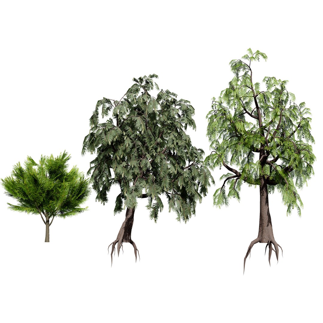 3D Australian Flora 3D Pack https://p.turbosquid.com/ts-thumb/T8/42MVaE/jU/australiancasuarinatree3dmodel3/jpg/1744109619/1920x1080/fit_q87/be17bb6fa4090792211c83dbabc714bc55318f9a/australiancasuarinatree3dmodel3.jpg