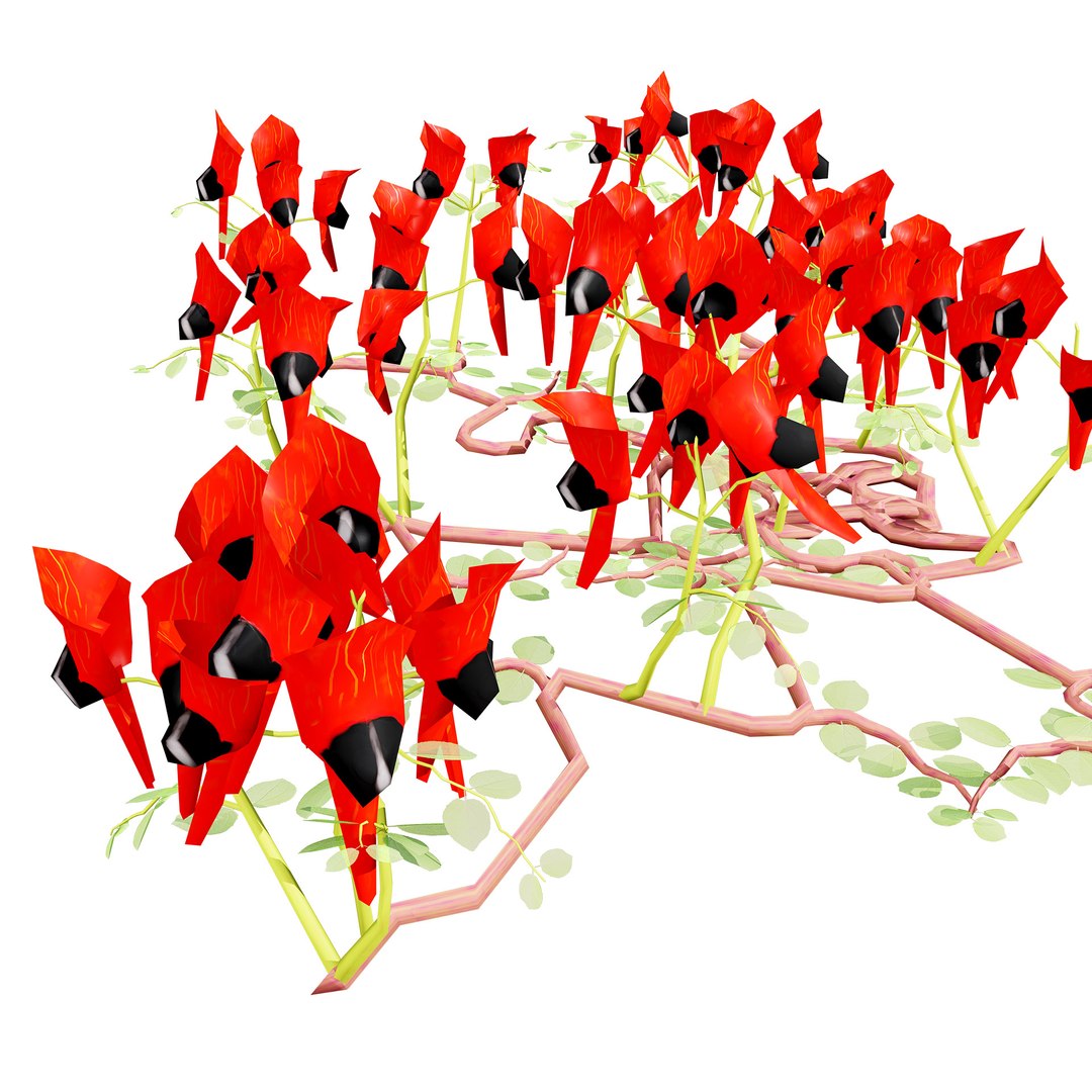3D Australian Flora 3D Pack https://p.turbosquid.com/ts-thumb/T8/42MVaE/kQ/australiansturtsdesertpeaswainsona2/jpg/1744109701/1920x1080/fit_q87/a4ffb9cd2440e30209545b5adeadab2d600bfe4d/australiansturtsdesertpeaswainsona2.jpg