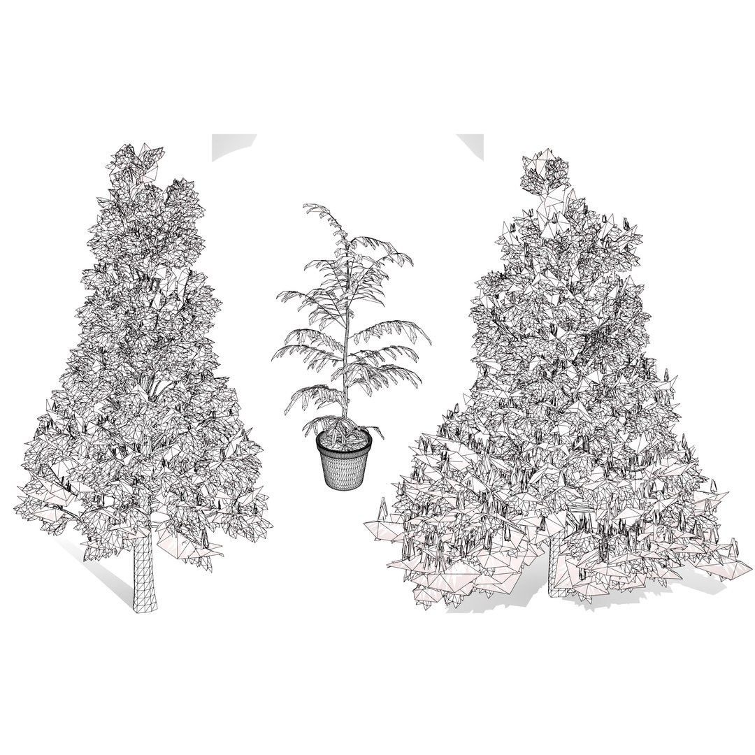 3D Australian Flora 3D Pack https://p.turbosquid.com/ts-thumb/T8/42MVaE/lQ/australiangrevillearobusta20/jpg/1744109750/1920x1080/fit_q87/01974b787766111d5a19e16d3a729ef7ca887a27/australiangrevillearobusta20.jpg