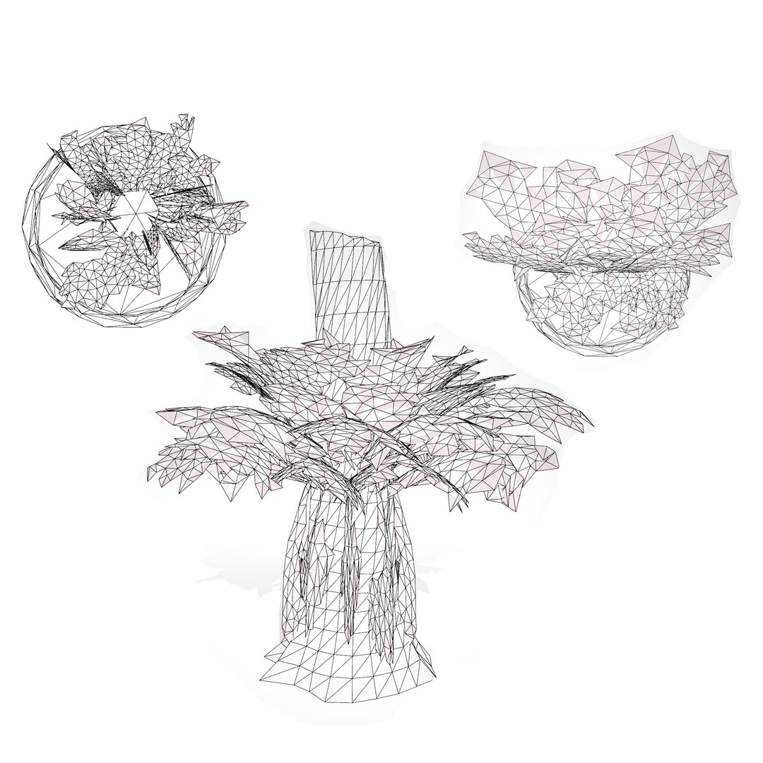 3D Australian Flora 3D Pack https://p.turbosquid.com/ts-thumb/T8/42MVaE/qL/australianstaghornfern14/jpg/1744109751/1920x1080/fit_q87/b7224af5fea665fcc9128e409101481c897ce28d/australianstaghornfern14.jpg