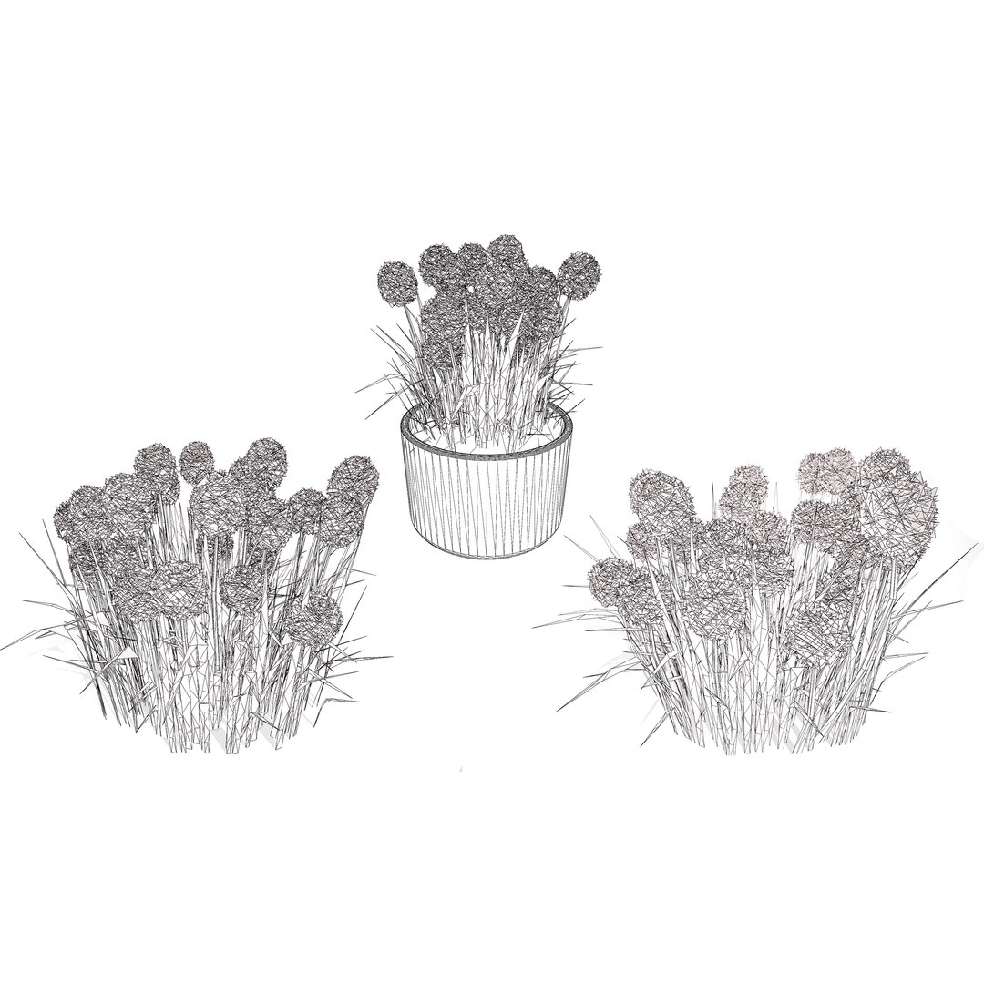 3D Australian Flora 3D Pack https://p.turbosquid.com/ts-thumb/T8/42MVaE/ri/australiancraspediaglobosagolfbeautyflowers18/jpg/1744109746/1920x1080/fit_q87/76e021c57316d0451ac4dcf655499d8148244b31/australiancraspediaglobosagolfbeautyflowers18.jpg
