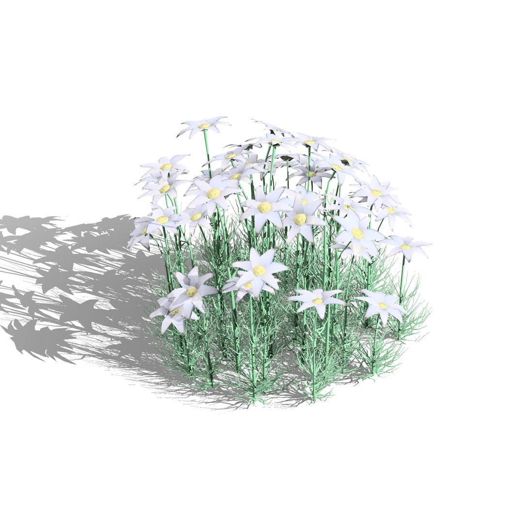 3D Australian Flora 3D Pack https://p.turbosquid.com/ts-thumb/T8/42MVaE/v0/australianflannelflowerherbaceousshrubs5/jpg/1744109684/1920x1080/fit_q87/741a32297ad4fae0e21e95bf874dde351fe6901f/australianflannelflowerherbaceousshrubs5.jpg
