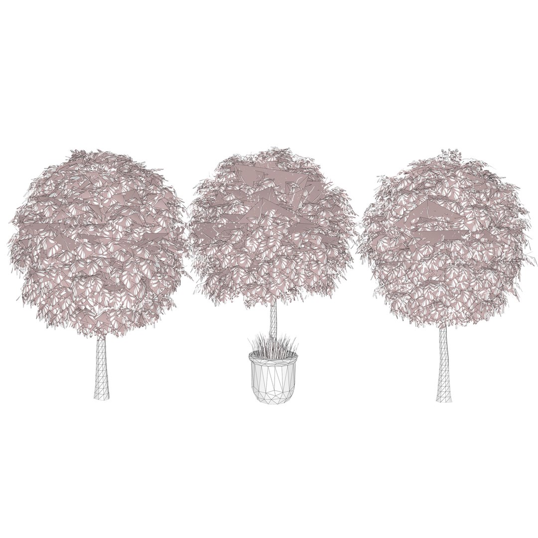 3D Australian Flora 3D Pack https://p.turbosquid.com/ts-thumb/T8/42MVaE/vA/australianlillypillyfruitplant15/jpg/1744109750/1920x1080/fit_q87/096d206752f65ba99ca9222cc695f126ee76bcf0/australianlillypillyfruitplant15.jpg